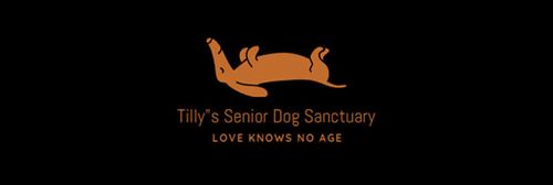 Tilly's Senior Dog Sanctuary